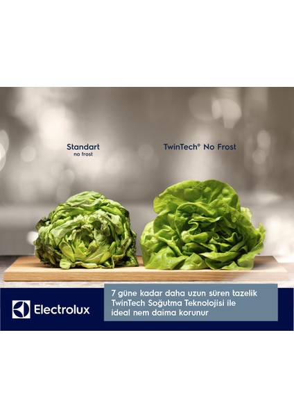 Electrolux LNT7MD58X Twintech No-Frost 588 Lt 84 cm Alttan Donduruculu Buzdolabı D Enerji Sınıfı Inox